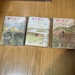 Item thumbnail for item 9ae8f545-d889-45ea-968b-ab516cbca3f8