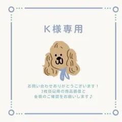 K様 リクエスト 2点 まとめ商品