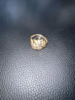 Item thumbnail for item 21cf07d2-2c89-4d37-bca6-3ca844854e3c