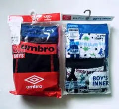 Item thumbnail for item f9693871-a0dd-46c6-ab5a-cbf7ae301279