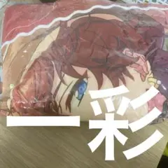 GiGO限定】あんさんぶるスターズ ビッグクッション MaM 三毛縞 斑