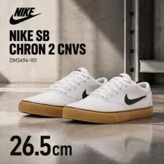 NIKE SB CHRON 2 CNVS DM3494-101