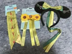 ディズニー　アナと雪の女王　ファンタジースプリングス　セット