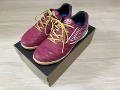 Item thumbnail for item 6569e6a7-bed9-4fd0-bc96-cb306d041d49