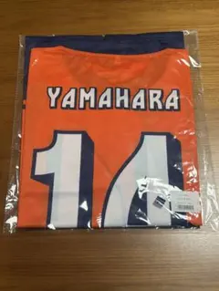 鹿島アントラーズ 本山選手Tシャツ Mサイズ 背番号16 サイン入り