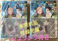 ジャンプ GIGA 2024 2冊セット　付録完備品