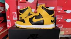 【新品未使用】Wu-Tang Clan × Nike Dunk HI Retro