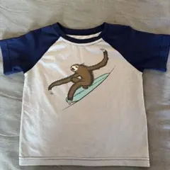patagonia スロース サーフィン Tシャツ 3T