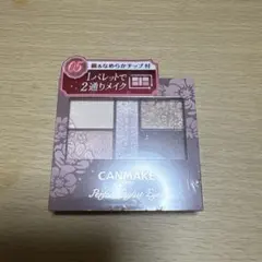 キャンメイク　パーフェクトスタイリストアイズ05