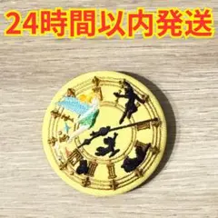 Disney Characters ピーターパン 刺繍缶バッジ