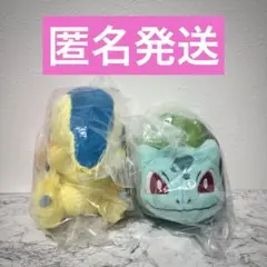 ゼニガメ フシギダネ ポケモン 一番くじ C賞 ぬいぐるみ - メルカリ