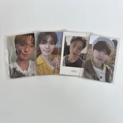 ディノ　face the sun トレカ