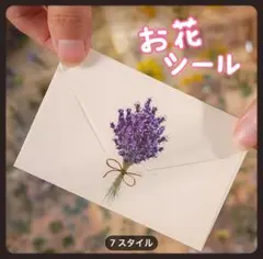 Item thumbnail for item 91b84c71-a02b-4a38-b85e-4784508957f1