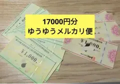 ビックカメラ&コジマ 株主お買物優待券 17000円分 株主優待券