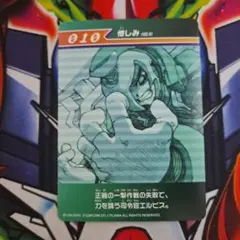 ロックマンゼロ3　改造カード　eカード　憎しみ　010