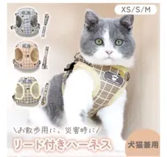 Item thumbnail for item 32b4905d-518e-4404-9729-bedf8130150b