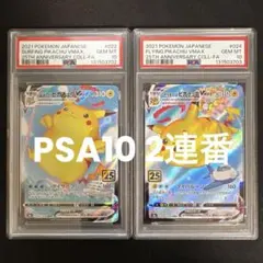 【PSA10・2連番】なみのりピカチュウVmax そらをとぶピカチュウVmax