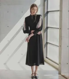 スリーブスリットレースドレス 刺繍