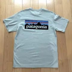 翌日発送　美品　patagonia グリーン　 Tシャツ バックプリント