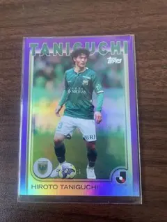 Item thumbnail for item 9505bf92-da6e-41a7-ac45-76165fb3c0fa