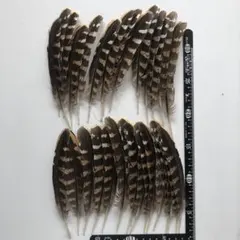 Item thumbnail for item e963f346-960c-4032-bd4b-a06b0040df01