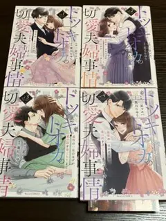トツキトオカの切愛夫婦事情～最後の一夜のはずが、愛の証を身ごもりました 1-4