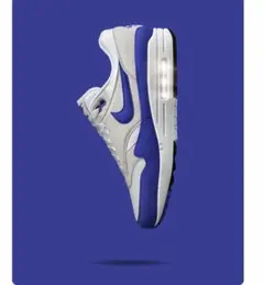 ナイキ　NIKE スニーカー