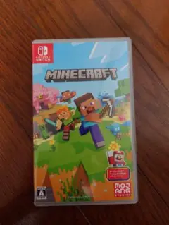 Minecraft Nintendo Switch版