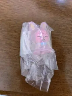 SKZOO めじるしアクセサリー トゥエッキ