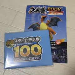 ポケモンコイン　スタートデッキ100 プレイマット メガリザードン
