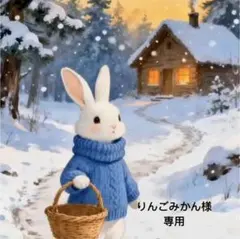 りんごみかん様 リクエスト 3点 まとめ商品