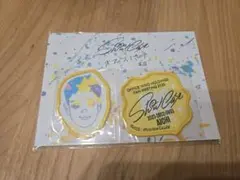 二宮和也　Show Case　ワッペンステッカー愛知