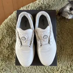 ECCO ☆ゴルフシューズ26.5cm ホワイト ☆新品未使用 ECCO ゴルフシューズ26.5cm ホワイト ☆新品未使用 2025年最新