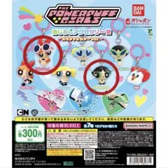 けぇ様 リクエスト 2点 まとめ商品