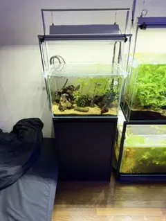 コトブキ 曲げガラス水槽 90×45×45 棚 90x45 照明 水ろ過 - メルカリ