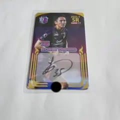 Item thumbnail for item a6bf47de-54da-4537-a1c2-860585f63849