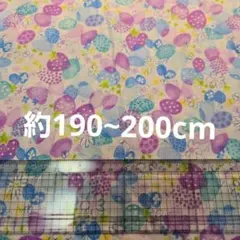 Item thumbnail for item f2f95c34-aa7f-4cd3-a083-b2e2f1c32921