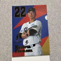 阪神タイガース クリアファイルコレクション