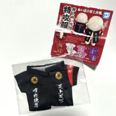 Item thumbnail for item 5c6e8d0f-fe64-48bb-b311-6a1cbd8bac7d