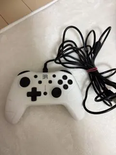 BR 有線コントローラー ホワイト