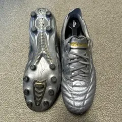 2025年最新】モレリアネオ4 シルバーの人気アイテム - メルカリ