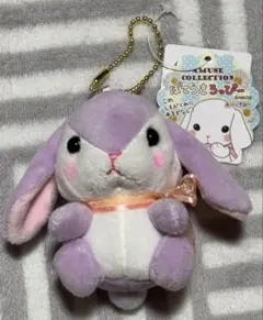 ぽてうさろっぴー　ぬいぐるみ　まとめ売り　36匹 Amazon.co.jp: ぽてうさろっぴーぬいぐるみ きゃんでぃちゃん 701693