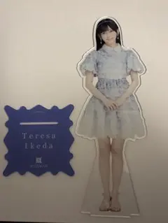 2026年最新】メンバー名：池田瑛紗 アクリルスタンドの人気アイテム