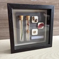 Item thumbnail for item f36773e7-66ca-428f-878a-11e9125ae160