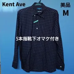 Item thumbnail for item 101db858-dd82-4698-b04d-75b6e47e47f6