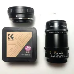 Item thumbnail for item 186d3539-47ad-463f-9c3e-dc5bed63a8f8