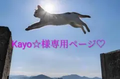Kayo☆様専用ページ♡