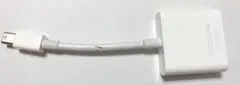Apple Mini DisplayPort - DVI アダプタ A1305