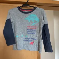 男児長袖Tシャツきょうりゅうプリント　グレー、ネイビー120cm
