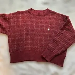BEVERLY HILLS POLO CLUB 赤ニット レディース Mサイズ